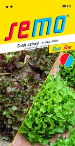 3873_salát-listový-SMĚS-BOWL_DUO-2