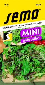 3878_salát-listový-SMĚS-K-ŘEZU-ML.LISTU_MINI-3