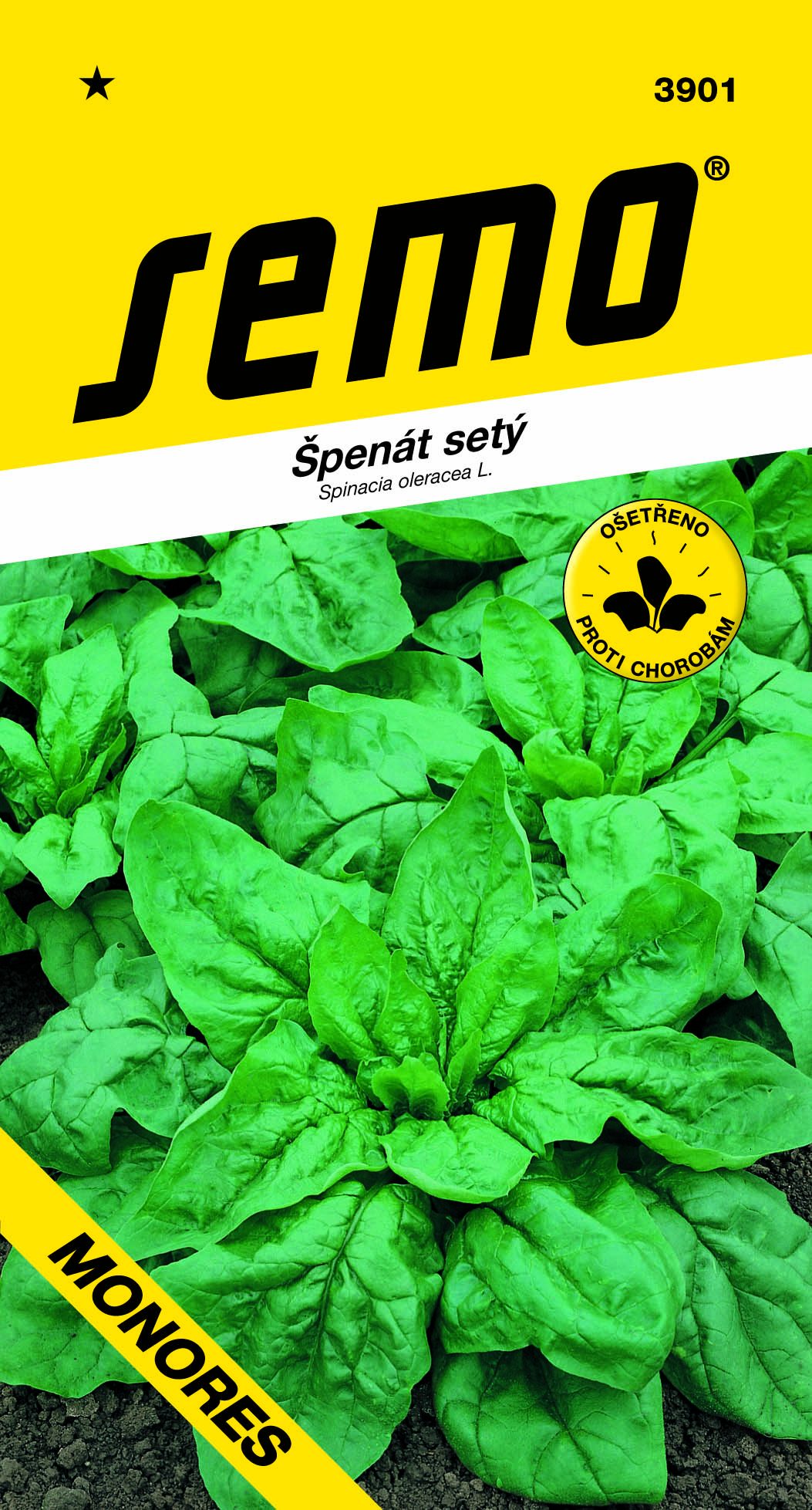 3901_špenát-MONORES-2