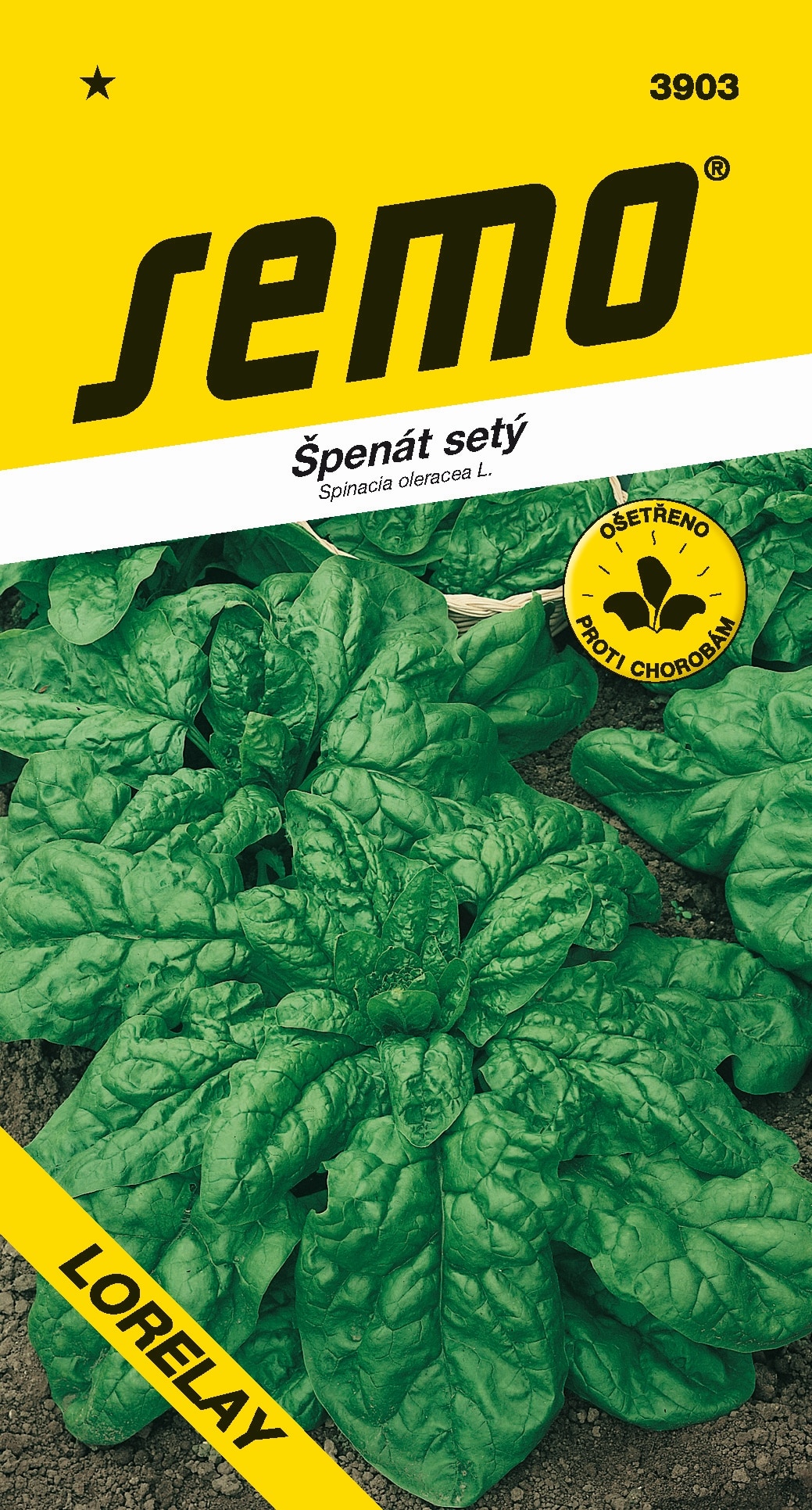 3903_špenát-LORELAY-1