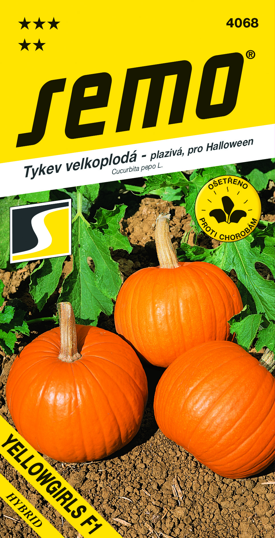 4068_tykev-YELLOWGIRLS-F1-2