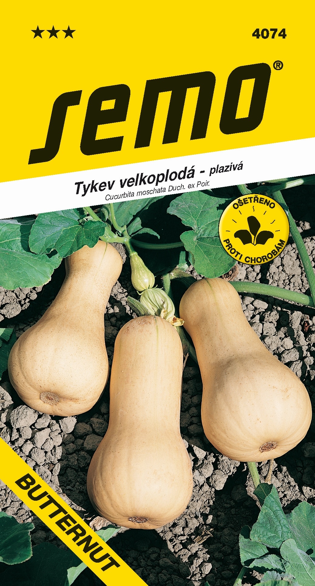 4074_tykev BUTTERNUT 4074_tykev-BUTTERNUT-2