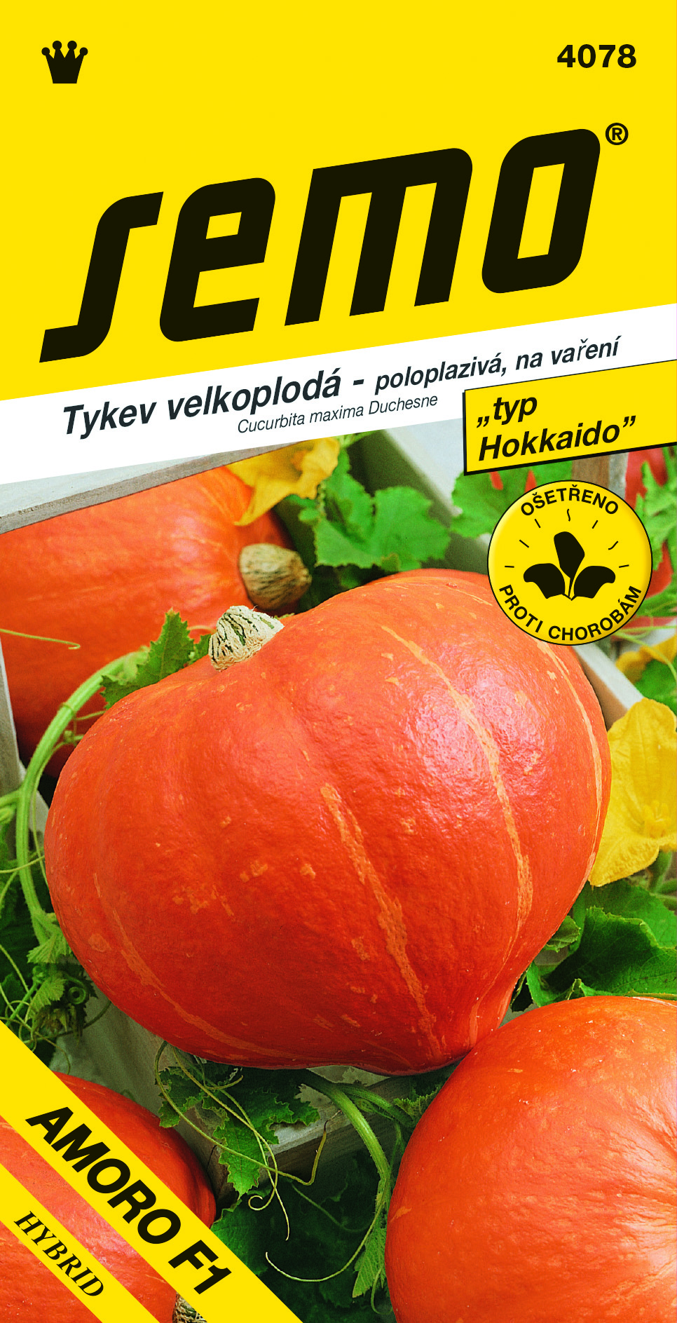 4078-Tykev-AMORO-F1-2