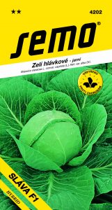 4202_zelí-SLÁVA-F1-2