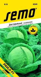 4245_zelí-PAVLO-F1-2