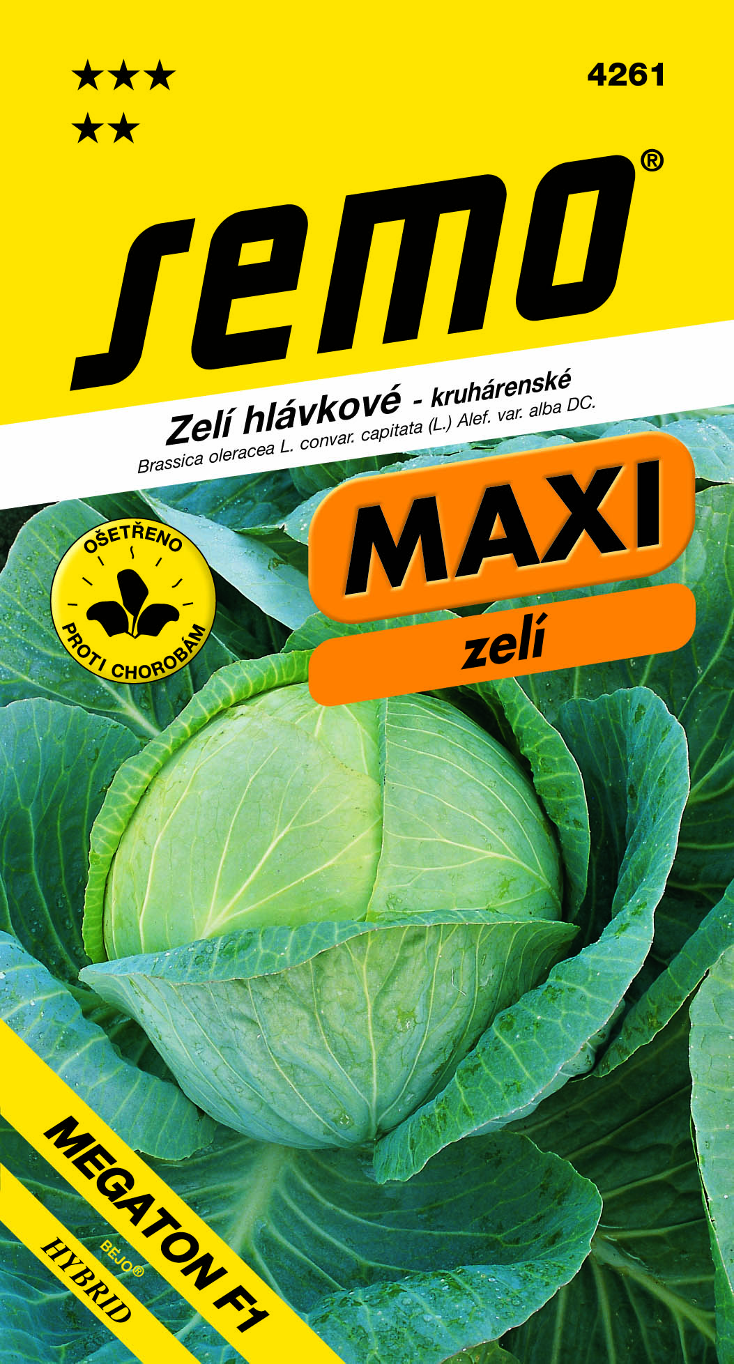 4261_zelí-MEGATON-F1_MAXI-1