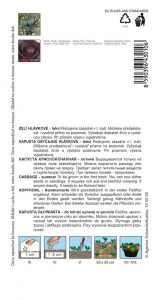 4301-1