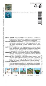 4302-1