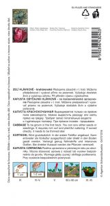 4304-1