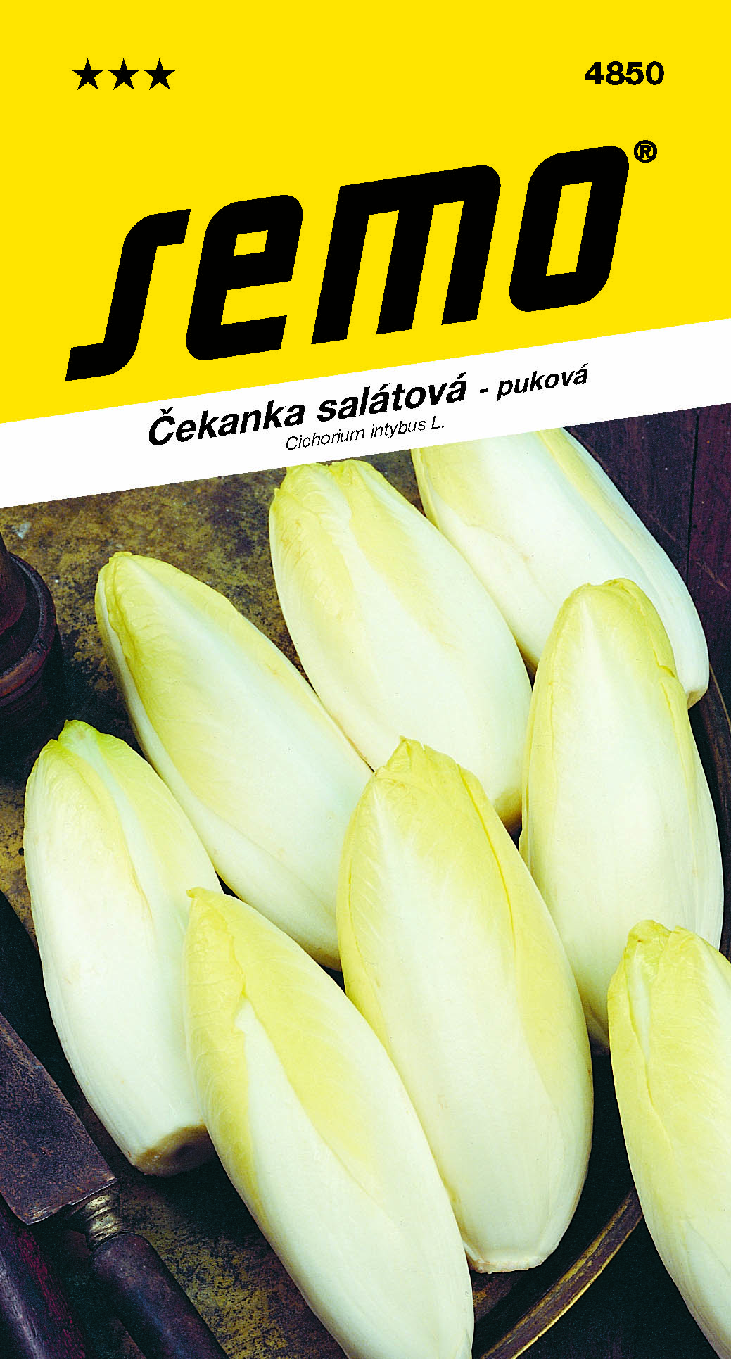 4850_čekanka-puková-DI-BRUXELLES-2