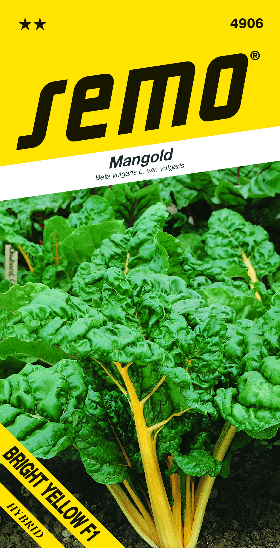 4906_mangold-BRIGHT-YELLOW-F1-1