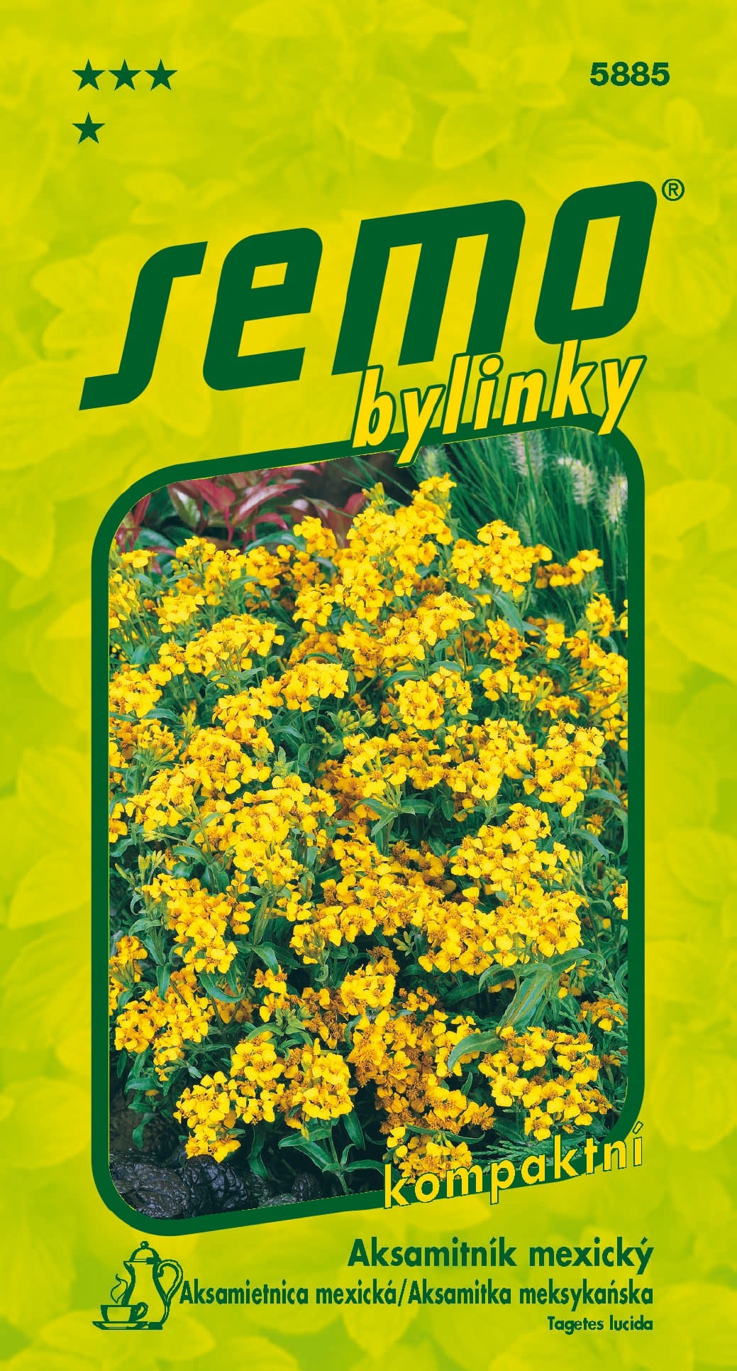 5885_aksamitník-mexický-2