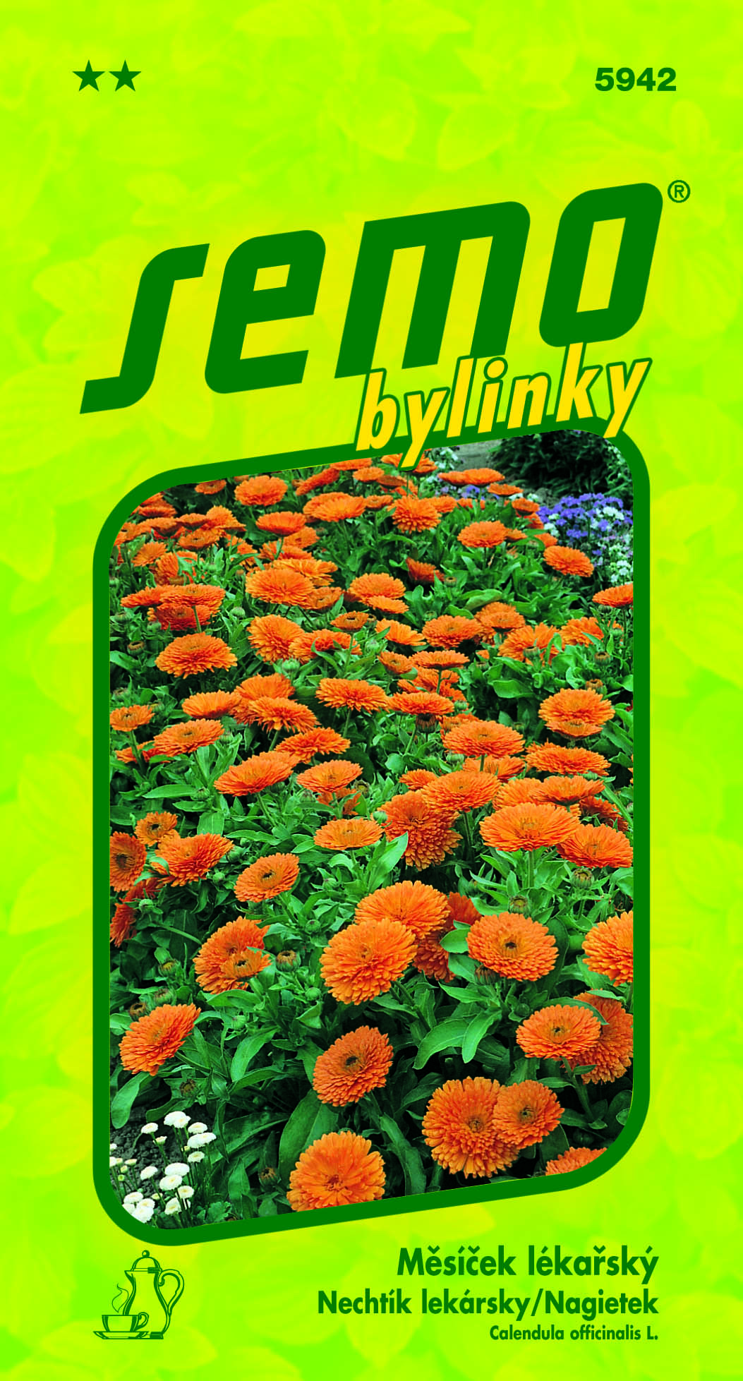 5942_MĚSÍČEK-LÉKAŘSKÝ-1
