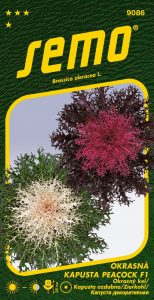 9086_okrasná-kapusta-PEACOCK-F1-MIX-2