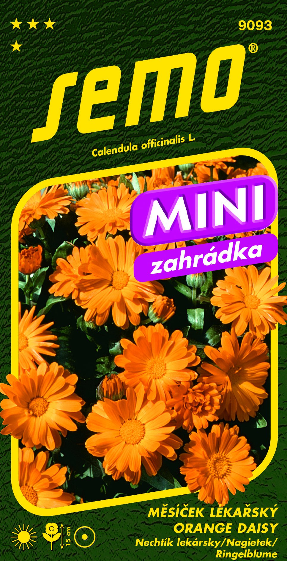 9093_měsíček-lékařský-ORANGE-DAISY_MINI-2