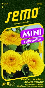 9096_měsíček-lékařský-GITANA-YELLOW_MINI-1-2
