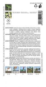 9106-1-1