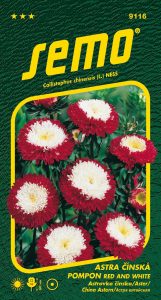 9116_astra-čínská-POMPON-RED-AND-WHITE-2