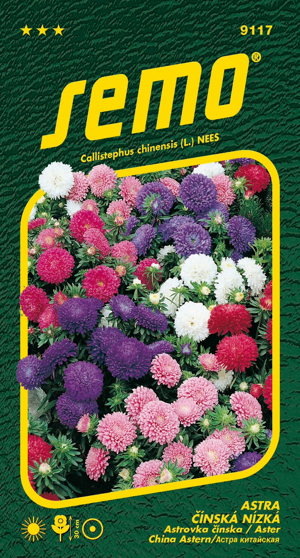 9117_astra-čínská-COLOUR-CARPET-SMĚS-2