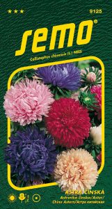 9125_astra-čínská-PIVOINE-2