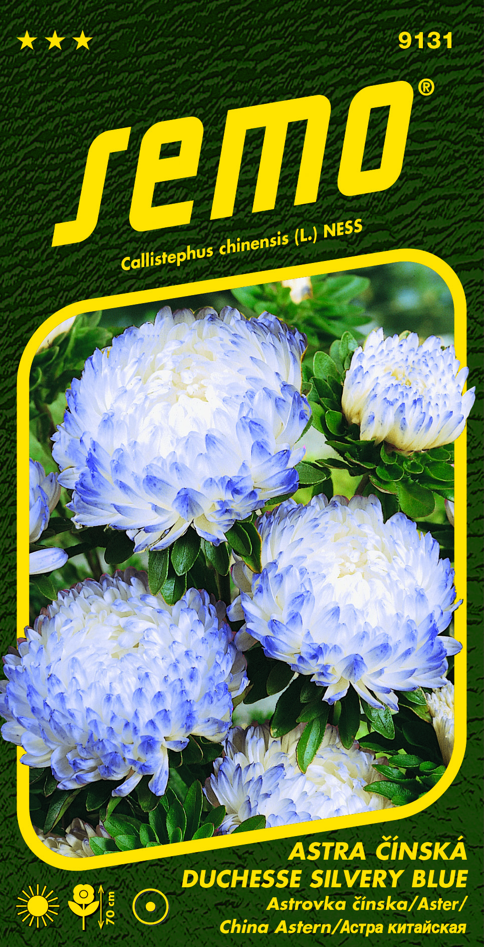 9131_astra-čínská-DUCHESSE-SILVERY-BLUE-2