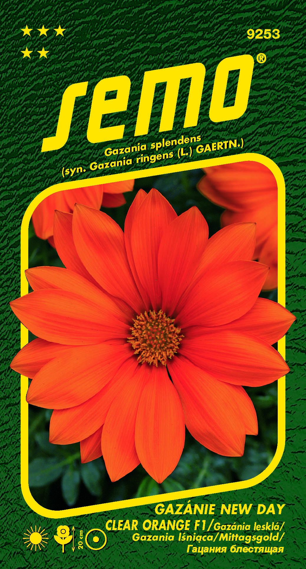 9253_gazánie-NEW-DAY-CLEAR-ORANGE-F1-2
