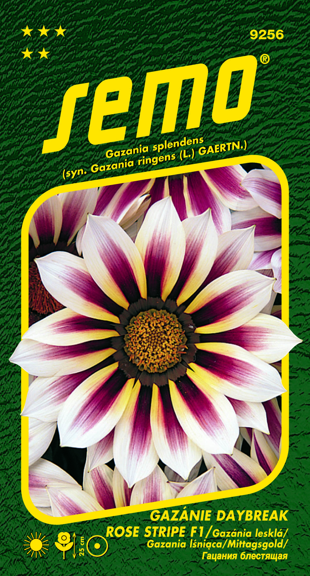 9256_gazanie-DAYBREAK-ROSE-STRIPE-F1-2
