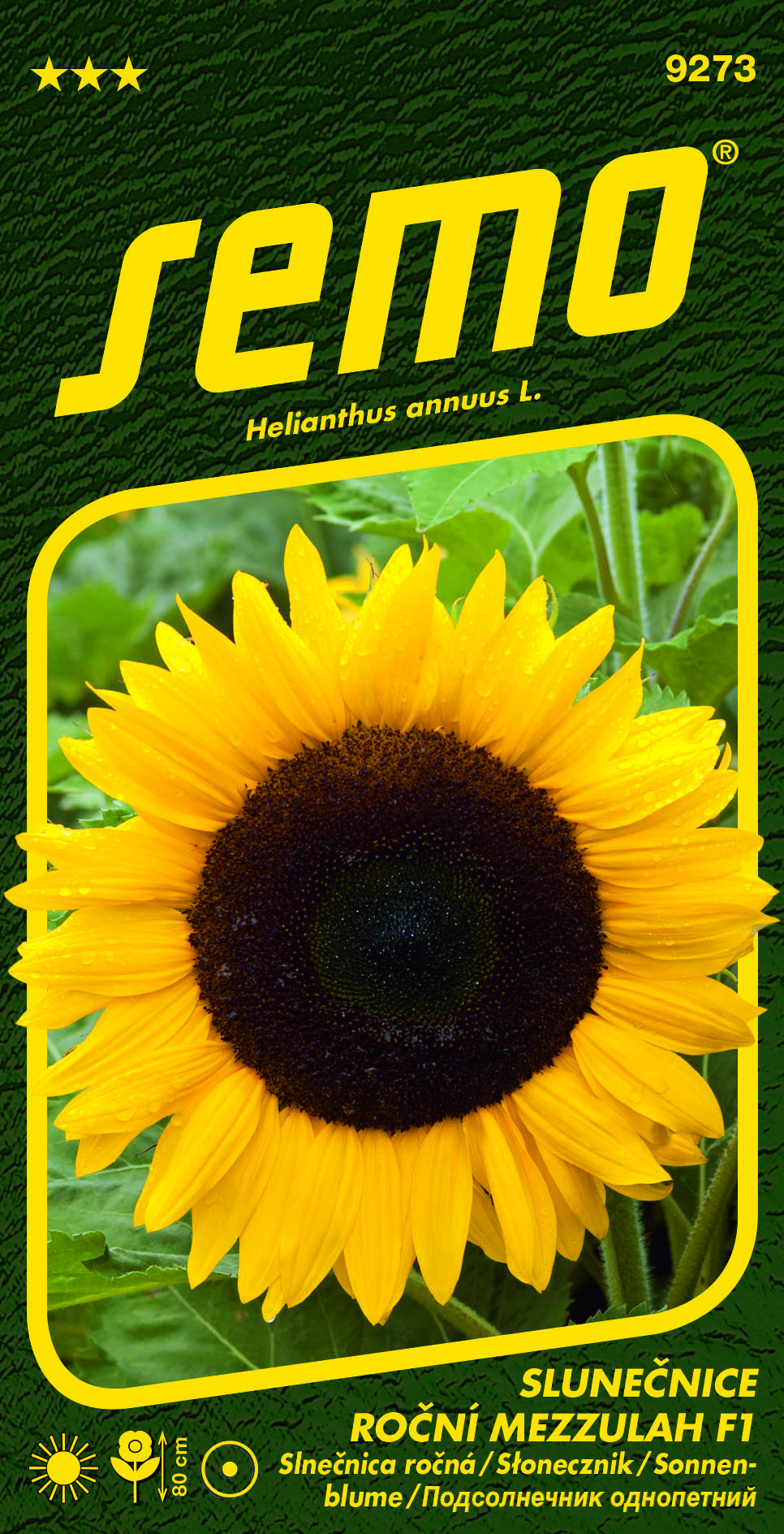 9273_Slunečnice-MEZZULAH-F1-1