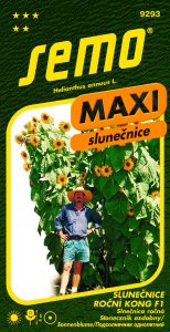 9293_slunečnice-KONG_MAXI-2