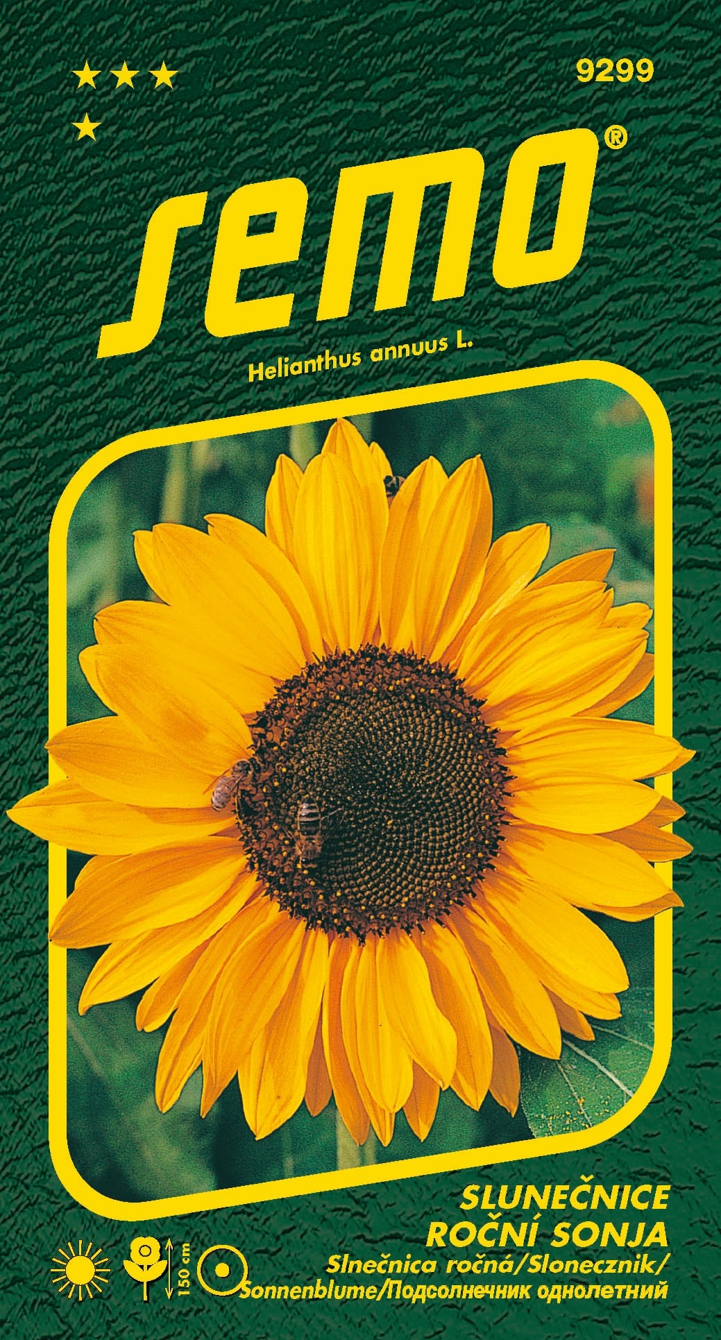 9299_slunečnice-SONJA-2