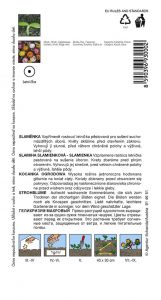 9300-2