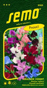 9355_hrachor-vonný-SPENCER-2