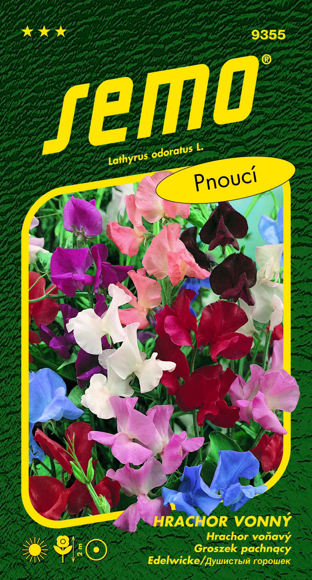 9355_hrachor-vonný-SPENCER-2