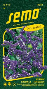 9372_statice-SAFÍR-2