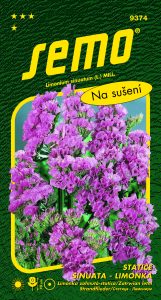 9374_statice-ROSEA-SUPERBA-2