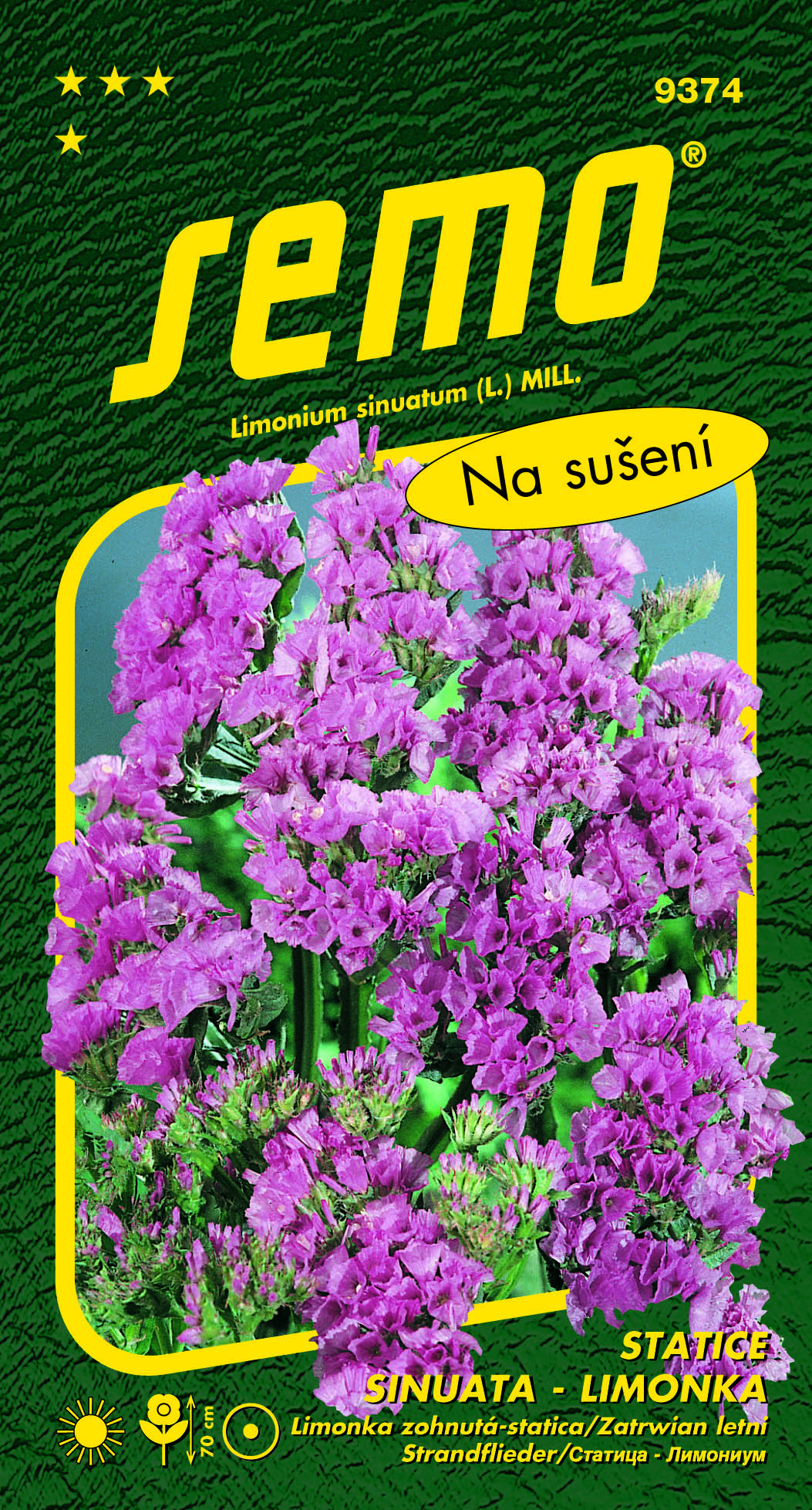 9374_statice-ROSEA-SUPERBA-2