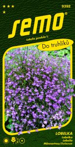 9392_lobelka-LILA-2