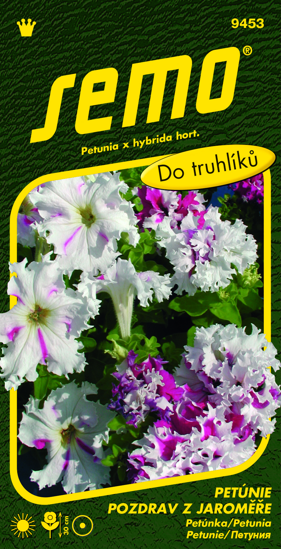 9453_petúnie-POZDRAV-Z-JAROMĚŘE-2