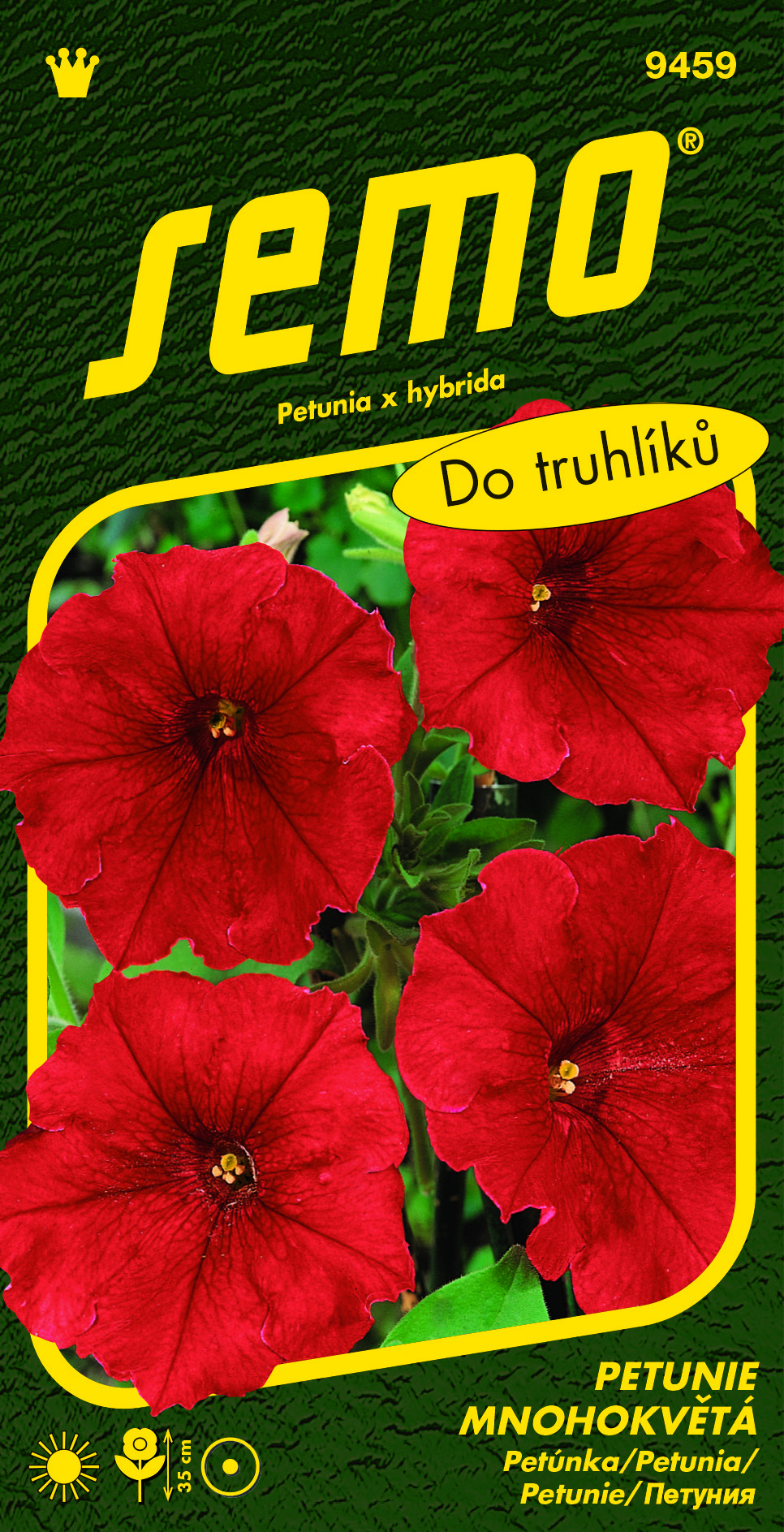 9459_petúnie-LÁSKA-2