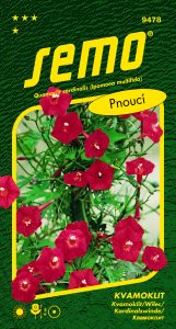 9478_kvamoklit-KARDINÁL-2