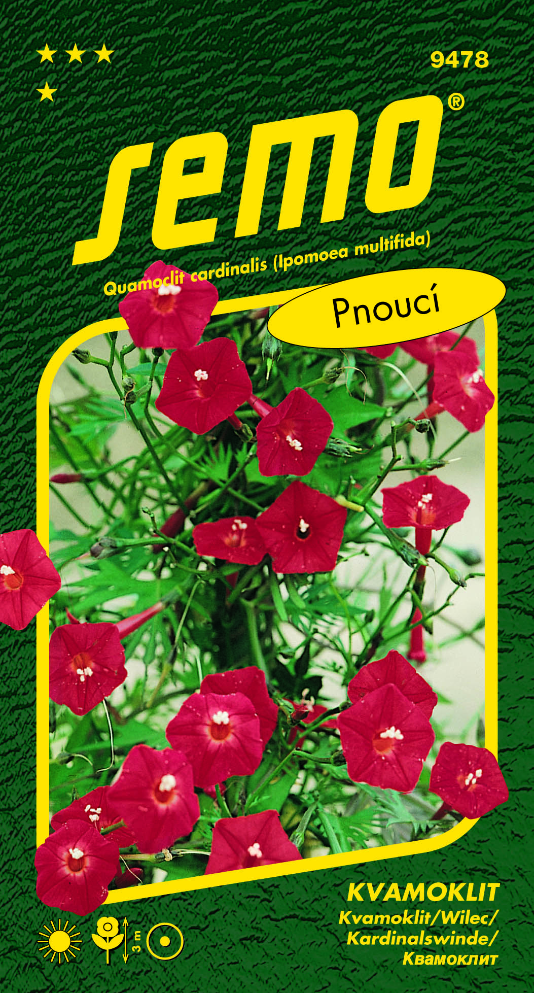 9478_kvamoklit-KARDINÁL-2