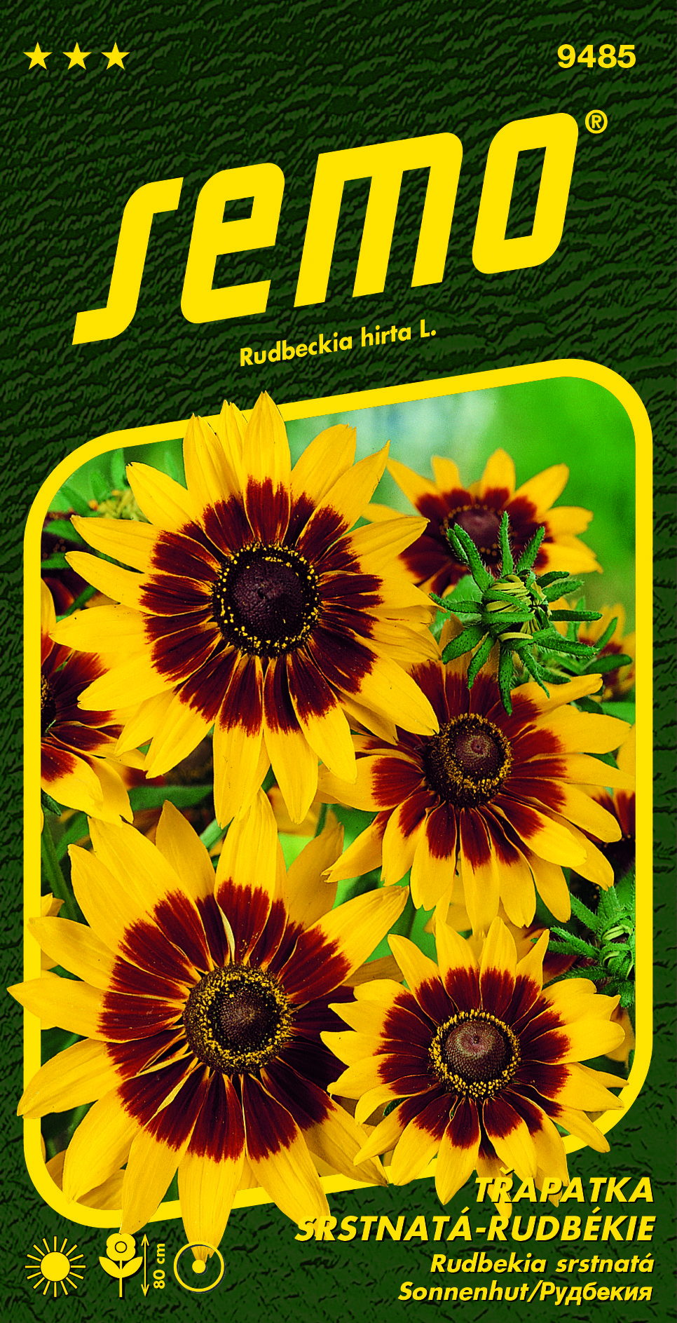 9485_třapatka-GLORIA-DAISY-2
