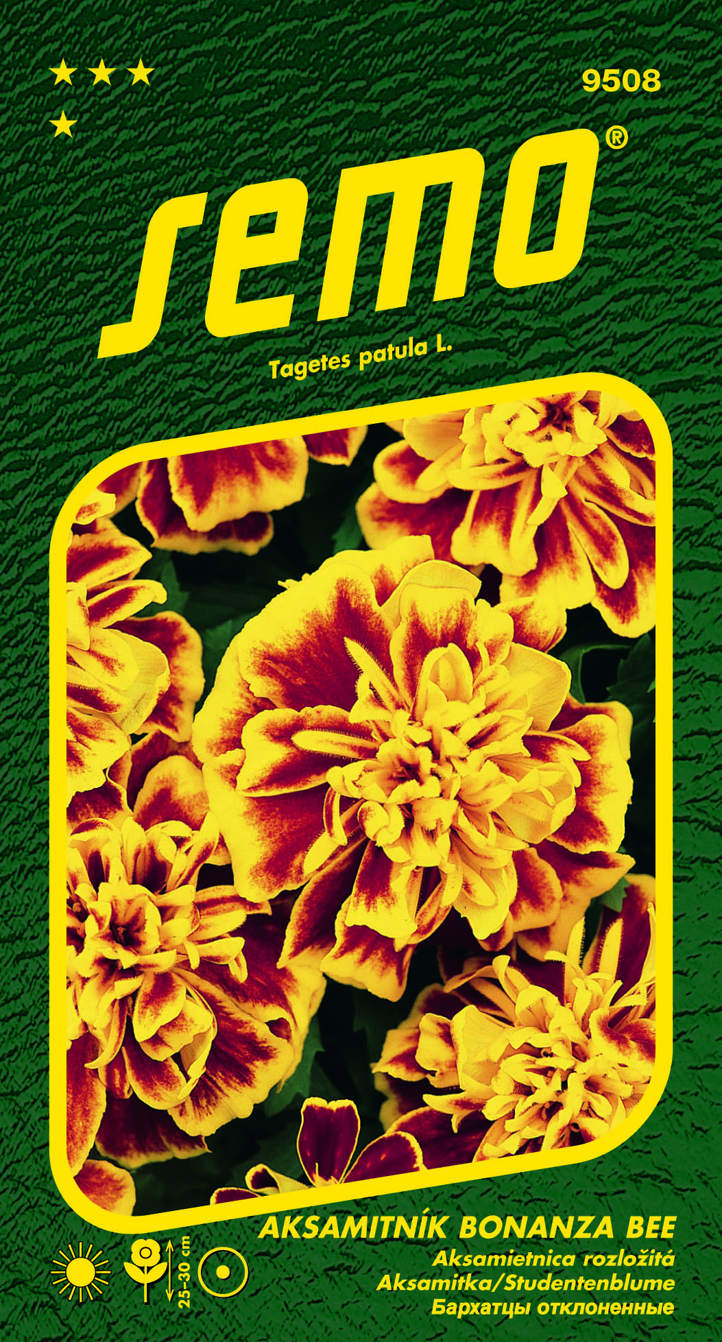9508_aksamitník-BONANZA-BEE-2