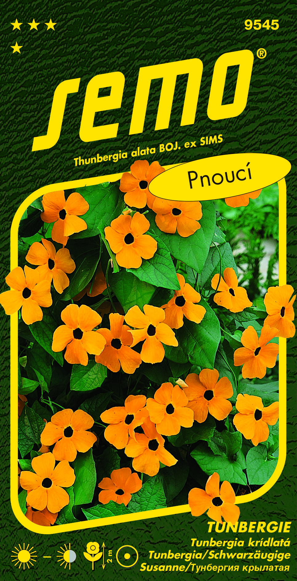 9545_tunbergie-ORANŽOVÁ-S-OKEM-2