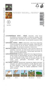 9556-1