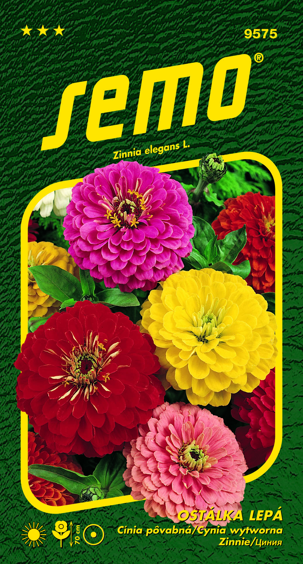 9575_ostálka-GEANT-DE-CALIFORNIA-2