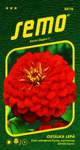 9578_ostálka-CHERRY-QUEEN-2