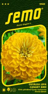 9582_ostálka-CANARY-BIRD-2