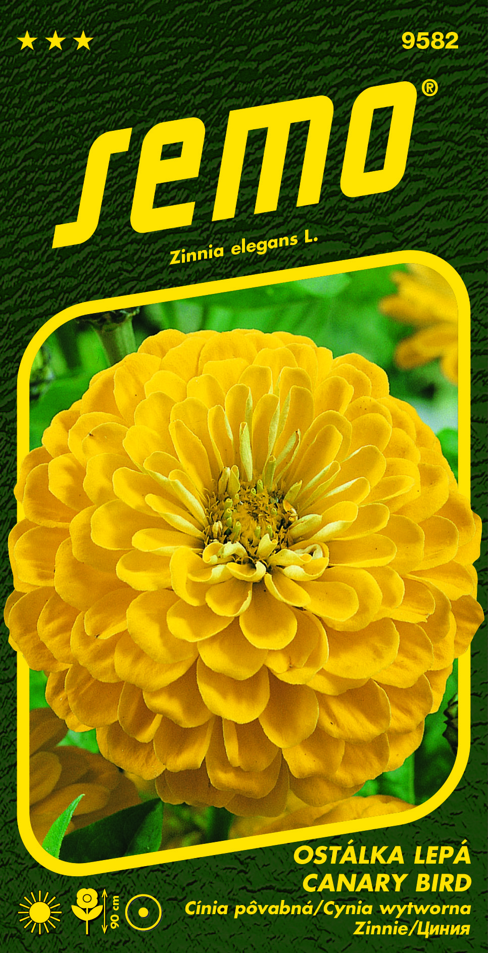 9582_ostálka-CANARY-BIRD-2