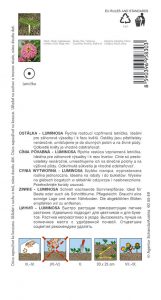 9583-1